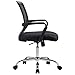 Poly and Bark Gerberding Office Chair, Black