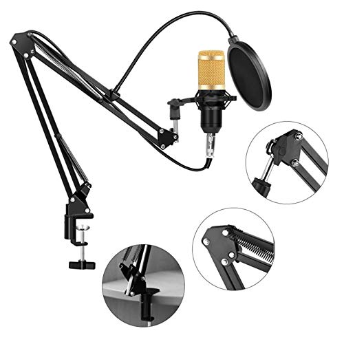 Puyong BM-800 Condenser Microphone Kit, Recording Kit with Adjustable Microphone Holder and Double-Layer Filter, Studio Microphone for Professional Recording Broadcasting Singing,Navy Blue
