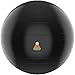 Exercise Ball Clearance Random 55cm / 65cm, Random Black / Blue Color - Fitness Desk Sitting Chair, Pregnancy Ball Anti-Burst, Yoga Workout Pilates Balance Gym Ball w/ Pump, Excersize Swiss Ball