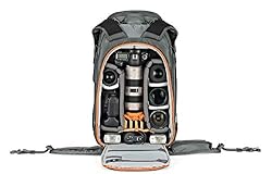 Lowepro BP 450 AW II