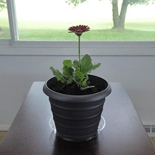 4 YOUniversal+Products+Clear+Plant+Saucers