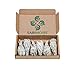 Sage Smudge Stick - 6 California White Sage Bundles Smudging Wands (Salvia Apiana) Perfect for Smudge Kit Replenishment