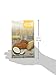 ANDEAN DREAM Coconut Quinoa Cookies, 7 OZ