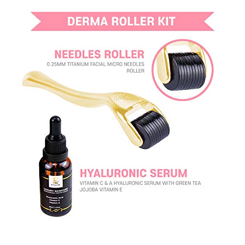 Luxury Derma Roller Jade Roller Professional Face Serum Kit 3 In 1