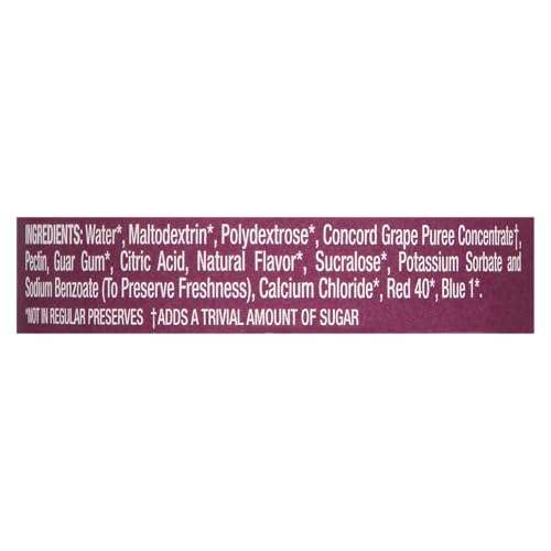 SKINNYGIRL SUGAR FREE KOSHER PRESERVES, CONCORD GRAPE, 10 OUNCE