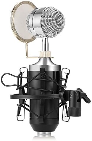 Professional Condenser Studio Recording Broadcasting Microphone,Home Cardioid Vocal Recording Mic with Metal Shock Mount for Recording,Podcasting,Online Chatting,Facebook,YouTube,Skype (Black)