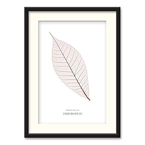 Black Paper Framed Canvas Wall Art for Living Room, Bedroom Simple Beautiful Leaves Canvas Prints for Home Decoration Ready to Hanging - 23x31 inches