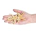 Fun Express Real Starfish Decoration (30 Piece)