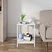 Lifewit Small 2-Tier Side Table End Table Beside Sofa, Sturdy and Easy Assembly Accent Table for Bedroom, Living Room, Modern Design, Square, White, 15.7 × 15.7 × 20 inches