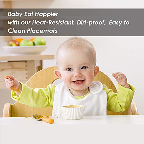 PREMIUM CARE Set of 4 Placemats for Table Heat-Resistant Skid-Proof Table Mats Dining Table Woven Stain Resistant Easy to Clean