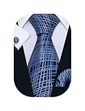 Barry.Wang Mens Ties Silk Tie Pocket Square