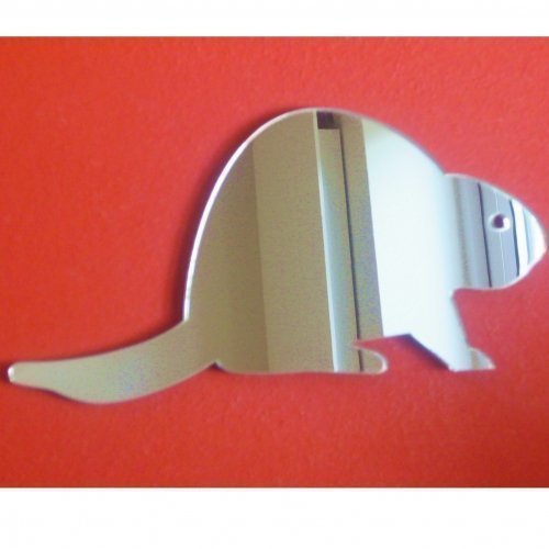 Sendmeamirror Beaver Mirror 45cm x 39cm
