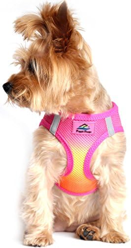 American River Choke-Free Dog Harness - Raspberry and Orange Sorbet Ombre