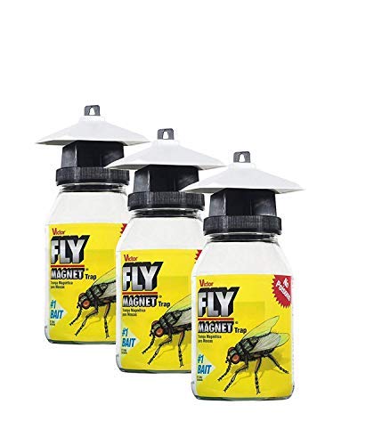 Safer Brand Victor M380 Fly Magnet Reusable Trap with Bait (Pack of 3) - //medicalbooks.filipinodoctors.org