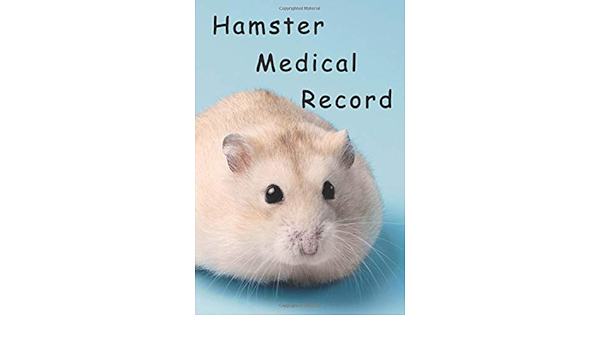 mice hamster