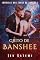 Livro Grito de Banshee: Um romance paranormal quente com vampiros e magia Fae (Crônicas dos fadas de Sangue Livro 1)