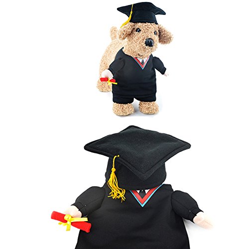 Alfie Pet by Petoga Couture - Kade the Graduate for Party Halloween Special Events Costume - Image 8