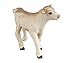Safari Ltd Farm Charolais Calf