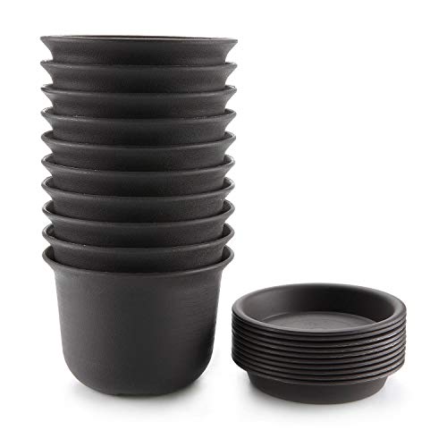 T4U 5 Inch Plastic Planter Pots with Saucer Brown Set of 10, Seeding Nursery Planter Pot with Drainage and Tray for Flowers Herbs African Violets Succulents Orchid Cactus Indoor Outdoor