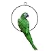 S&F Life Size Hanging Parrot Statue Like a Real Parrot Patio Lawn Ideal Decor for Nature Lovers Tropical Bird Collectors Summer Theme (Green)