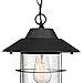Globe Electric 44334 Matthews Outdoor Pendant, 51.6