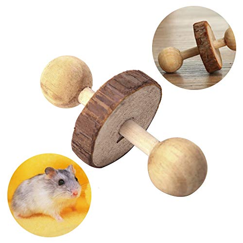 2 PIVBY+Hamster+Exercise+Playing+Rabbits