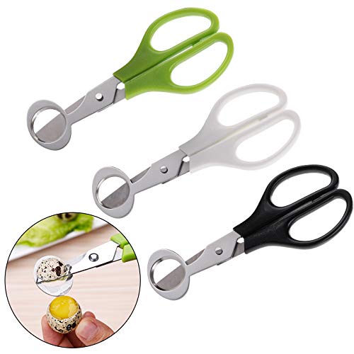 Yarlung 12 Pack Stainless Steel Quail Egg Scissors, Pigeon Egg Cutter