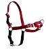 PetSafe Easy Walk Harness for Dogs - Pull-Free Walks - Patented Martingale Loop Design - Front Chest Leash Attachment - Comfort Straps - Breathable Harness Design - Medium, Red/Black