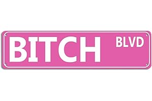SEHINU Retro Pink Tin Metal Sign - 'BITCH BLVD' - Bold Statement Decor for Home, Bar, or Dorm - 16x4 Inches - Unique Gift Idea for Friends(B71)