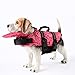 PETCEE XL Dog Life Jacket with Buoyancy and Rescue Handle Dog Life Vest for Large Dogs Swimming