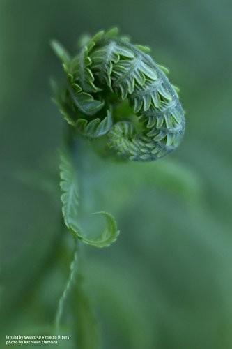 Lensbaby 46mm Macro Filter Kit