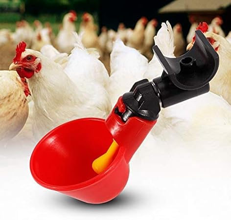 Amazon Com Jeffergarden 5pcs Stainless Steel Automatic Chicken