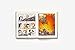 Poptropica: Book 3: The Secret Society