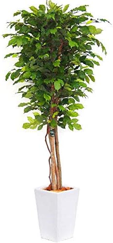 フェイクグリーン 大型 人工 観葉植物 造花 フィカスツリー S 150cm ナチュラルトランク 天然木 白