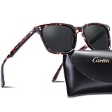 Carfia Wayfarer