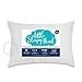Little Sleepy Head Toddler / Travel Pillow Protector for Pillows 13x18 and 14x19 (1-Pack)
