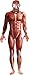 Smiffys Anatomy Man Costume