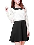 Allegra K Womam Doll Collar Mesh Panel Semi Sheer Leisure Mini Dress