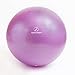 ProBody Pilates Yoga Ball - Fresh Colors Exercise Ball for Stability, Pregnancy, Workout, Physical Therapy & Birthing, Balance Ball Chair (Slate, 55 cm)