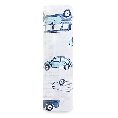Best aden and anais swaddle blanket to buy in 2019 Allace Reviews