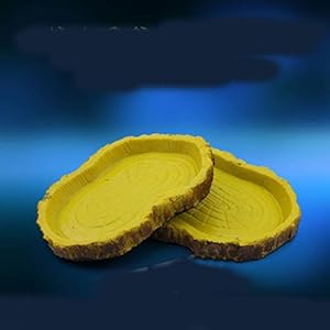 Alimentazione Rettile Resina Acqua Alimento Ciotola Piatto Pet Vivaio Tartaruga Geco Serpente