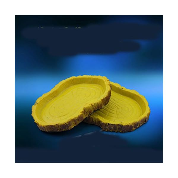 Alimentazione Rettile Resina Acqua Alimento Ciotola Piatto Pet Vivaio Tartaruga Geco Serpente