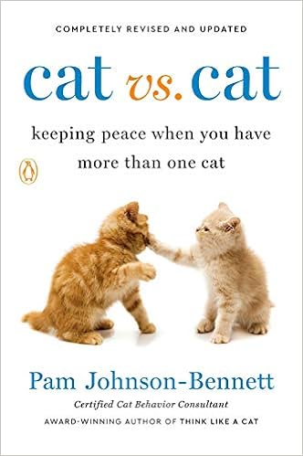 cat social structure