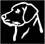 WHITE Vinyl Decal - Lab head - dog - puppy pup labrador retriever hunt fun, Die Cut Decal Bumper Sticker For Windows, Cars, Trucks, Laptops, Etc.