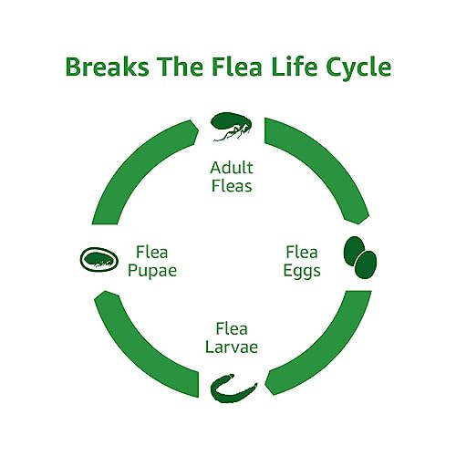 Amazon Basics Flea and Tick Topical Treatment for Cats (over 1.5 lbs