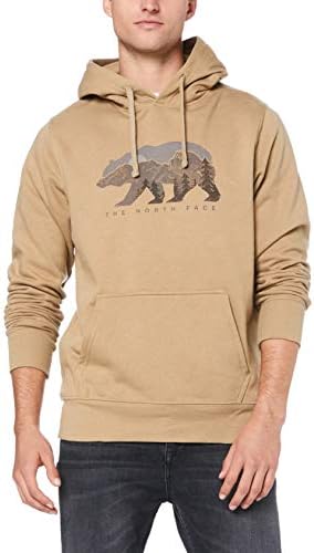 north face bearscape hoodie