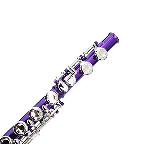DREAMALVA Purple 16 Hole C Closed Hole White Copper Flute + Pass Rod + Cleaning Cloth + Lubricant + Screwdriver