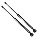 Maxpow Liftgate Lift Supports Tailgate Hydraulic Struts Shocks Hatch Support Compatible With Mitsubishi Montero 1997 1998 1999 2000 2001 2002 2003 2004 2005 2006 4554, Pack of 2