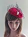 Women's Fascinators Hat Pillbox Hat Cocktail Party Hat with Dot Veil Bowknot Hair Clip, Red, One Size