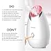 Lavinda Facial Steamer, Temp Controller Protection UV Light BPA Free Nano Ionic Home Spa Face Steam Mist Sprayer Moisturizing with Silicone Sonic Facial Brush